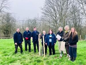 Supporting image for story: New Ludlow community orchard planted by local volunteers with donated trees