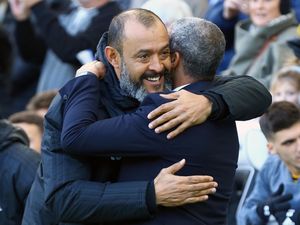 Supporting image for story: Wolves will be more than fine, says Chris Hughton