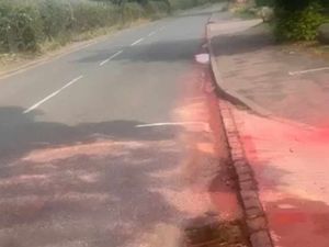 Supporting image for story: Staffordshire villagers seeing red after sloppy pro-Palestine protestors 'blood splatter' pavements nowhere near factory blockade