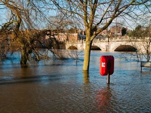 Supporting image for story: Shrewsbury businesses say footfall was high despite flooding misery