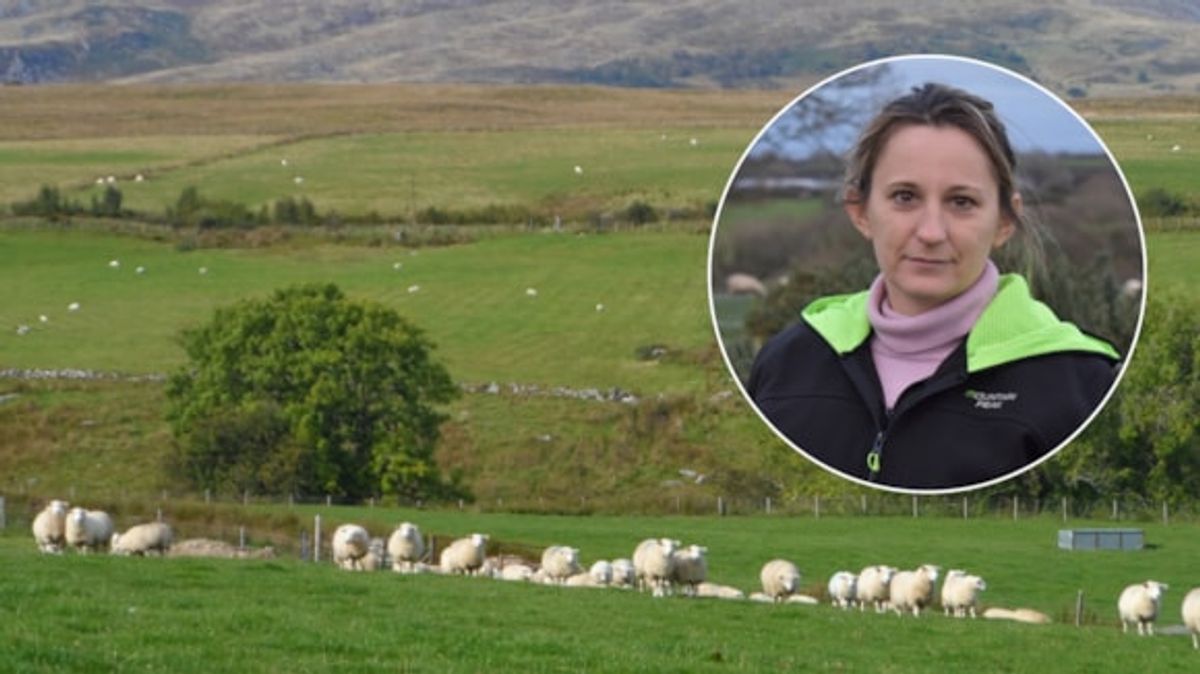 Farmers’ Union of Wales welcomes tougher laws against dog attacks