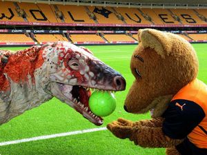 Supporting image for story: Dinosaur invasion at Molineux