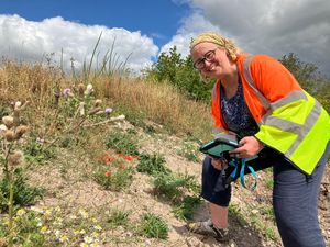 Sue Lawley, Staffordshire County Council’s ecologist on site.