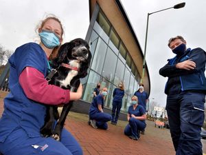 Supporting image for story: Shrewsbury veterinary surgery launches 24/7 on-site care