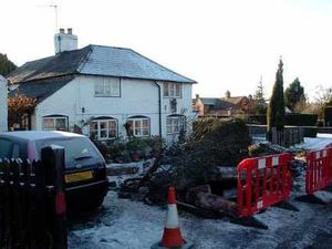 Supporting image for story: Tears as garden destroyed by skidding lorry