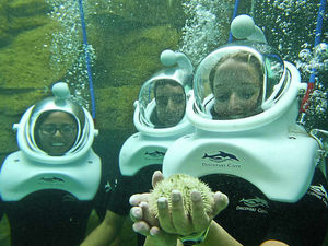 Supporting image for story: Travel review: Florida