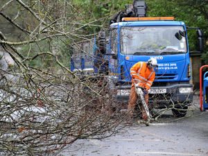 Supporting image for story: Fallen tree closes Wolverhampton road 