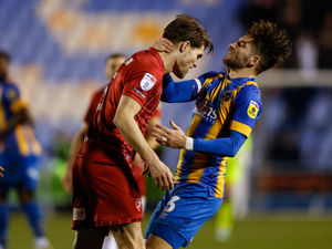 Supporting image for story: Steve Cotterill takes issue with referee after Shrewsbury defeat 