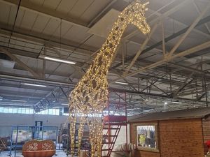 Supporting image for story: Chester Zoo reveals its plans for Christmas