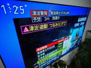 A tsunami warning is displayed on a television in Yokohama, near Tokyo