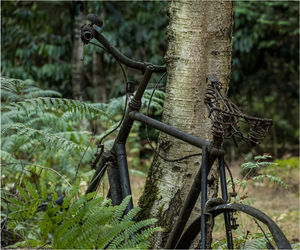 4. Alan Fowler - Sheila’s Bike