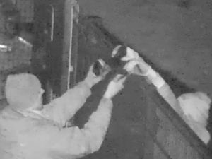 Supporting image for story: WATCH: Thieves who stole historic school lanterns caught on camera