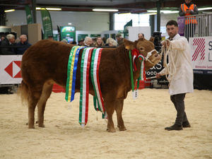Supporting image for story: Royal Welsh Agricultural Society 'committed to building on this year's success to make next year’s Winter Fair even better'