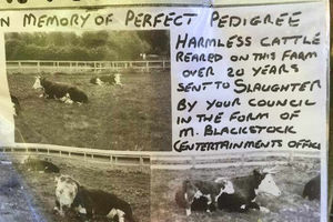 A poster put up on a tree next to the field