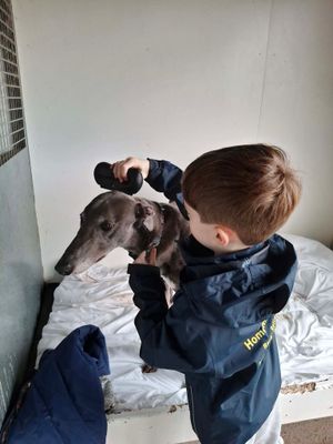 Freddy gets stuck in with grooming and teeth cleaning