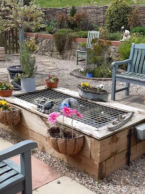 The artwork has been created by students from Bridgnorth Endowed School for residents of Wheatlands Care Home