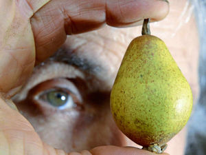 Supporting image for story: VIDEO: Tettenhall Dick is back with a bang