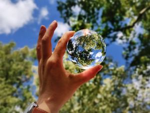 Supporting image for story: ‘Green’ laws in the spotlight at Shropshire Chamber event