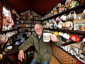 Supporting image for story: From garden shed to vintage tearoom