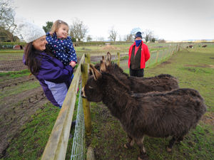 Supporting image for story: Fundraiser launched for visitor attraction