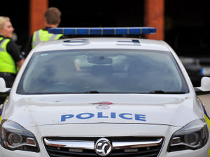 Supporting image for story: Woman, 20, and her dog hit by car and killed