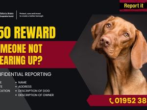 Supporting image for story: £50 rewards on offer for Telford and Wrekin residents who shop dog owners not clearing up their pets' mess