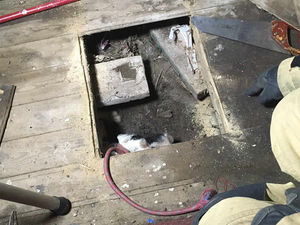 Supporting image for story: Firefighters and RSPCA rescue terrified dog trapped under Telford shed for four hours