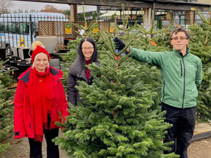 Supporting image for story: Dobbies garden centre give away Christmas trees to Staffordshire groups