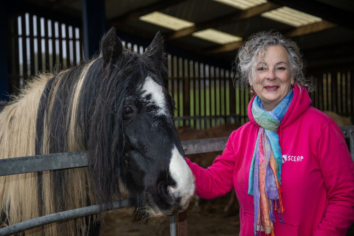 Staffordshire charity gallops ahead with support from homebuilder Staffordshire charity gallops ahead with support from homebuilder