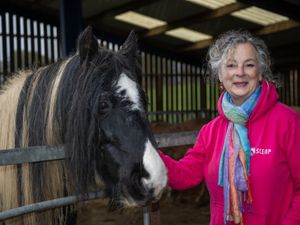 Supporting image for story: Staffordshire charity gallops ahead with support from homebuilder