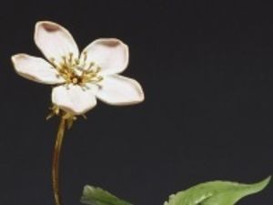 Supporting image for story: Fabergé find at Black Country Living Museum similar to Queen’s piece