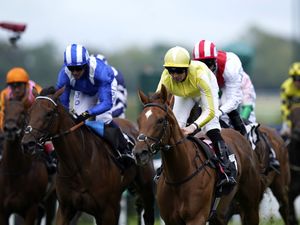 Supporting image for story: Choisya takes Dick Hern prize at Haydock