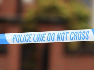 Supporting image for story