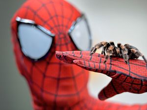 Supporting image for story: Staffordshire pet show attracts thousands