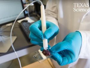 Supporting image for story: This pen-like device can detect cancer in a matter of seconds