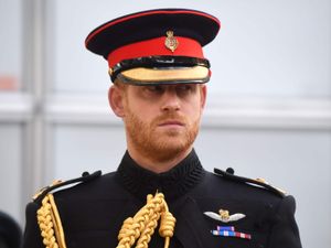 Supporting image for story: Harry hails veterans’ service, saying ‘true power’ lies in ‘ability to unite’