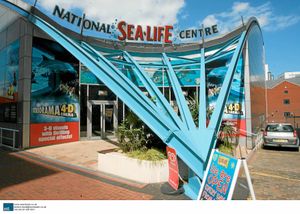 The Sea Life Centre is the perfect place to spend Valentine's Day this year. Credit: Steve Woods / newsteam.co.uk 07/05/09. 