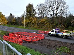 Supporting image for story: New pedestrian crossing joy for residents near busy Dudley road after years of campaigning