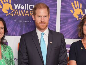 Supporting image for story: Harry upstaged by boisterous Noah at WellChild awards
