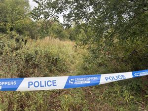 The scene in grassland off Tame Road, Oldbury, where a woman reported being raped in a 'racially-motivated' attack