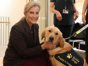 Supporting image for story: Duchess of Edinburgh celebrates 40 years of Guide Dogs for the Blind in NI