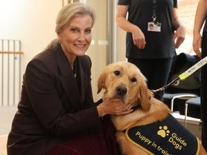 Supporting image for story: Duchess of Edinburgh celebrates 40 years of Guide Dogs for the Blind in NI