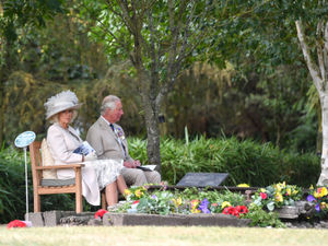 Supporting image for story: National Memorial Arboretum awarded top Tripadvisor award