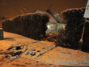 Supporting image for story: Driver dies after lorry goes into hedge