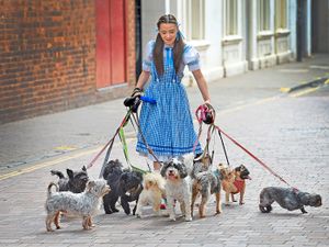 Supporting image for story: GALLERY: 'Ruff' competition as dogs compete for Grand Theatre role in Wizard of Oz