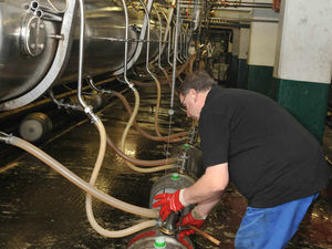 Supporting image for story: Top things to do in the Midlands