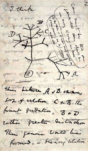 An example of Charles Darwin’s handwriting