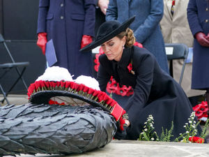 Supporting image for story: I watched the Princess of Wales lay her Armistice Day wreath at Staffordshire's National Memorial Arboretum - you could hear a pin drop