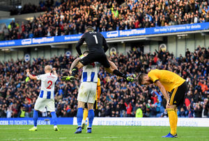 Wolves lost 1-0 at Brighton in October (© AMA / Sam Bagnall)