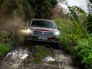 Supporting image for story: VW's king of the road